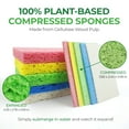 thumbnail image 5 of AIRNEX Compostable Cellulose Compressed Sponges, Multicolor Pop up Sponges for Dishes, Pack of 16, 5 of 6