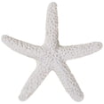 thumbnail image 3 of 30 piezas de estrella de mar de dedo de lápiz blanco cremoso YONGSHENG, 3 of 5