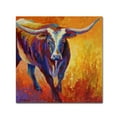 thumbnail image 1 of Trademark Fine Art 'Stepping Out Longhorn' Canvas Art by Marion Rose, 1 of 3