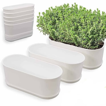 5 Set Window Herb Planter Box Rectangular,8.5x3.5 Inch White Plastic Planters with Multiple Drainage Holes and Trays,Indoor Succulent Cactus Mint Flower Pot for Windowsill,Garden Balcony