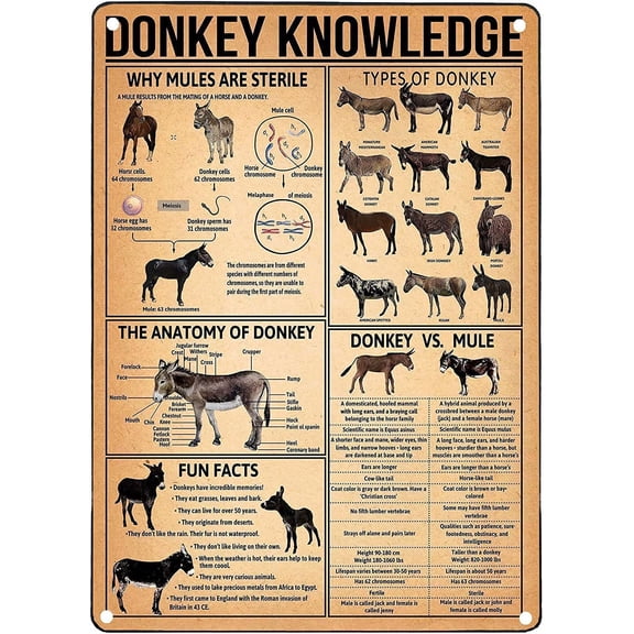 Donkey Knowledge Metal Tin Sign Types of Donkey Retro Wall Decor Poster Painting 8x12 Inch for School Farm Cafe Bar Bedroom Bathroom Kitchen