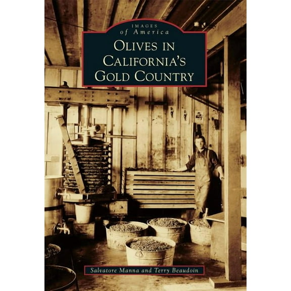 Olives in California's Gold Country