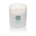 thumbnail image 6 of Colonial Candle Wellness Basil & Mint Scented Jar Candle, 2 Wick, 16 oz, 60 Hours Burn, Fresh, 6 of 7