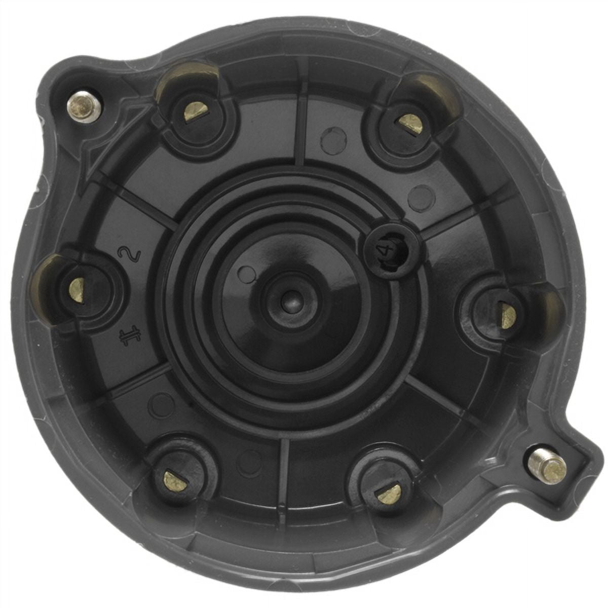 Distributor Cap