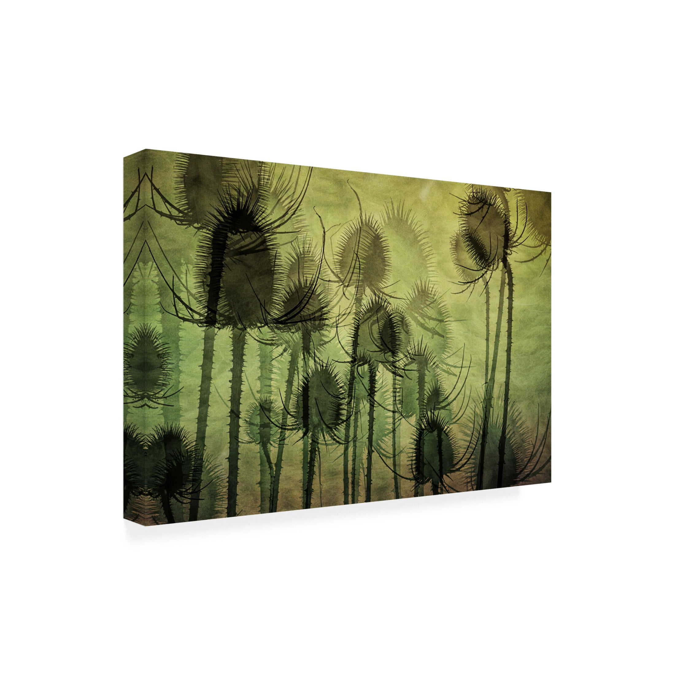 Canvas Wall Art - Katarina Holmstrom 'Wild Teasel' Wall Art for Living Room, Bedroom, or Office Décor by Trademark Fine Art - 32 x 22 Inches