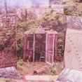 thumbnail image 1 of The Marcus King Band - Carolina Confessions (Vinyl LP), 1 of 1