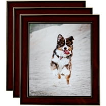 ArtToFrames 12" x 16" Honors Mahogany with Gold Picture Frame, 12x16 inch Brown Wood Poster Frame (WOM-5156), 3 Pack