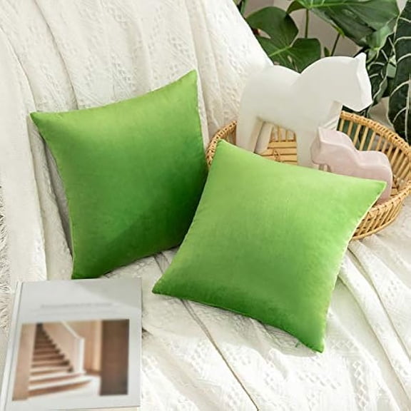 Eryueer Velvet Soft Decorative Square Throw Pillow Case Cushion Covers Pillowcases for Livingroom Sofa Bedroom with Invisible Zipper 12"x12" 2 Pieces Grass