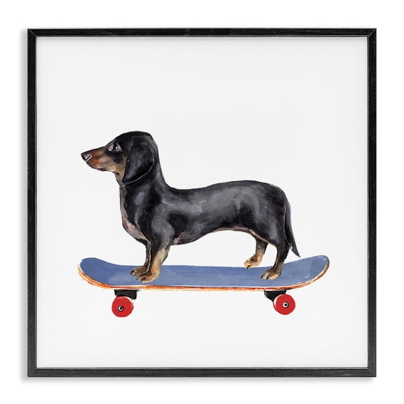 Stupell Industries Contemporary Dachshund Pet Dog on Blue Skateboard Black Framed Giclee Art, 12 x 12, by Annie Warren