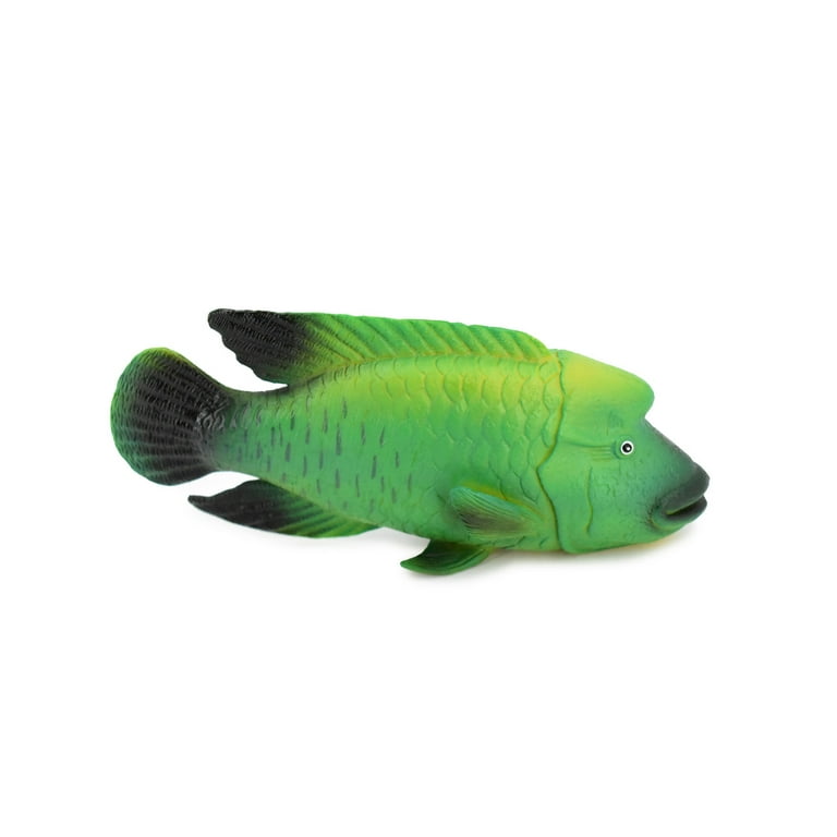 Fish, Green Humphead Wrasse, Museum Quality, Hand Painted, Rubber Fish,  Realistic Toy Figure, Model, Replica, Kids, Educational, Gift, 7 CH372  BB140 