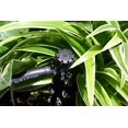 thumbnail image 4 of Mister Landscaper MLD-STA Piquets de Goutteur Réglables (3 Quantités), 4 of 4