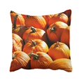 thumbnail image 1 of RYLABLUE Vintage Modern Orange Pumpkins Halloween Trick Or Treat Vegetable Pattern Polyester 18 x 18 Inch Square Throw Pillow Covers With Hidden Zipper Home Sofa Cushion Decorative Pillowcases, 1 of 1