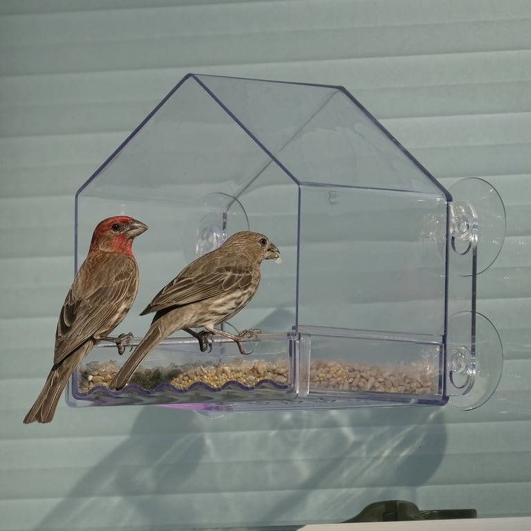 Wild Wings Clear View Plastic Window Bird Feeder 2 Cup Capacity