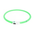 thumbnail image 1 of Collar de perro LED recargable Collar de seguridad ligero para mascotas de silicona,, 1 of 5
