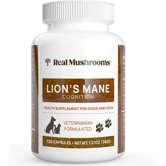 Real Mushrooms Lion's Mane 300mg Para Perros Y Gatos 120caps