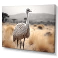 thumbnail image 2 of Designart "Africa Ostrichs beauty III" Animals Wall Decor, 2 of 5