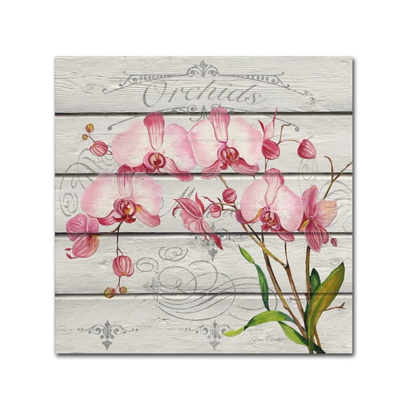 Trademark Fine Art 'Pink Orchids' Canvas Art by Jean Plout