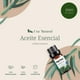 thumbnail image 3 of Aceites Esenciales Aromaterapia Uva Natural Pino Conjunto con Caja de Regalo Exquisita 10 ML, 3 of 6