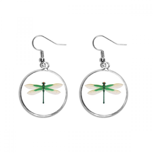 Chino tradicional cometa modelo de la libelula Pendientes pendientes de plata colgantes joyas señora Unbranded M