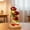 Red, variant on Preserved Rose in Glass Dome Eternal Dried Bouquet Home Decor Gift for Her