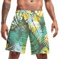 thumbnail image 1 of Men's Summer Casual Swim Trunks American Flag Beach Shorts, 1 of 4