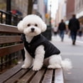 thumbnail image 4 of SIfdSeng Veste Gilet Petits Manteaux pour l'Hiver Temps Froid Veste Chaude Manteau Chiot Vestes Rouges Manteaux Chat, 4 of 7