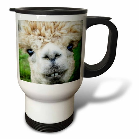 3dRose Alpaca. Lama. South America. White. - Travel Mug, 14-ounce, Stainless (Best Way To Travel South America)