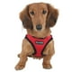 thumbnail image 3 of Puppia arnés suave tipo chaleco para perro / gato talla Chico Puppia PAHA-AH305, 3 of 4