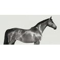 thumbnail image 2 of Pangea Images 32x18 Black Ornate Wood Framed with Double Matting Museum Art Print Titled - Kingsman Cavalier- English Thoroughbred, 2 of 4