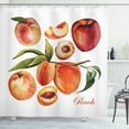 thumbnail image 1 of Ambesonne Peach Shower Curtain, Delicious Nectarines, 69"Wx75"L, Orange Green and Red, 1 of 3