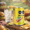 thumbnail image 4 of Squirt, Refresco Sabor Toronja, 24 Pack Lata, 355ml., 4 of 5