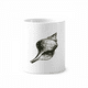thumbnail image 1 of La vida marina Black caracol ilustración Titular de cepillo de dientes de cerámica taza de regalo pluma blanco taza 350ml, 1 of 2