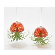 Ultimate Innovations 1092 Glass Jellyfish with Faux Plant, Coral - Set of 2