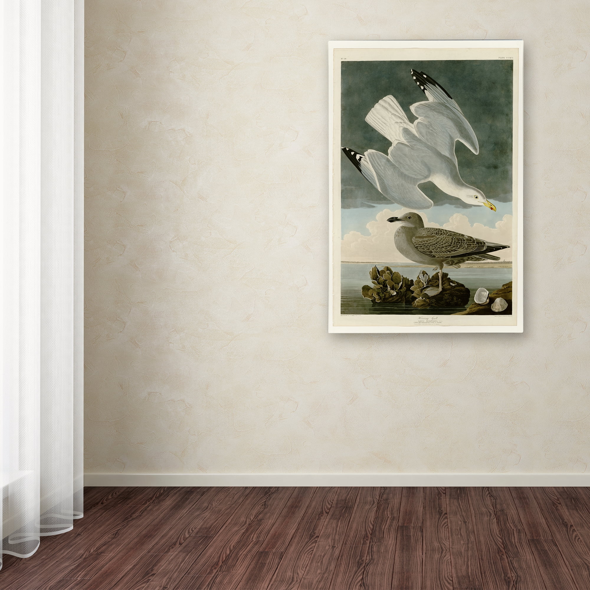 Audubon 'Herring Gullplate 291' Canvas Art