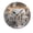 FFclock063, variant on ZXCXRQFa Silent Clocks Forest Wooden House Colorful Theme Battery Operated Silent Wall Clock Decor for Home, Kitchen, Living Room, Office, Bedroom, or Bathroom (10 Inch）