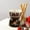 B #3, variant on Ceramic Chocolate Fondue Set | Ice Cream & Chocolate Melting Pot | Multi-Use Fondue Warmer for Family Gatherings & Parties | Includes 1 Fondue Set