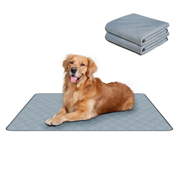 RIOUSSI Washable Pee Pads for Dogs, Reusable, Absorbent, Leakproof, Non Slip Pet Puppy Pads for Potty Training. Light Gray, 24x36 Inch(2pack)