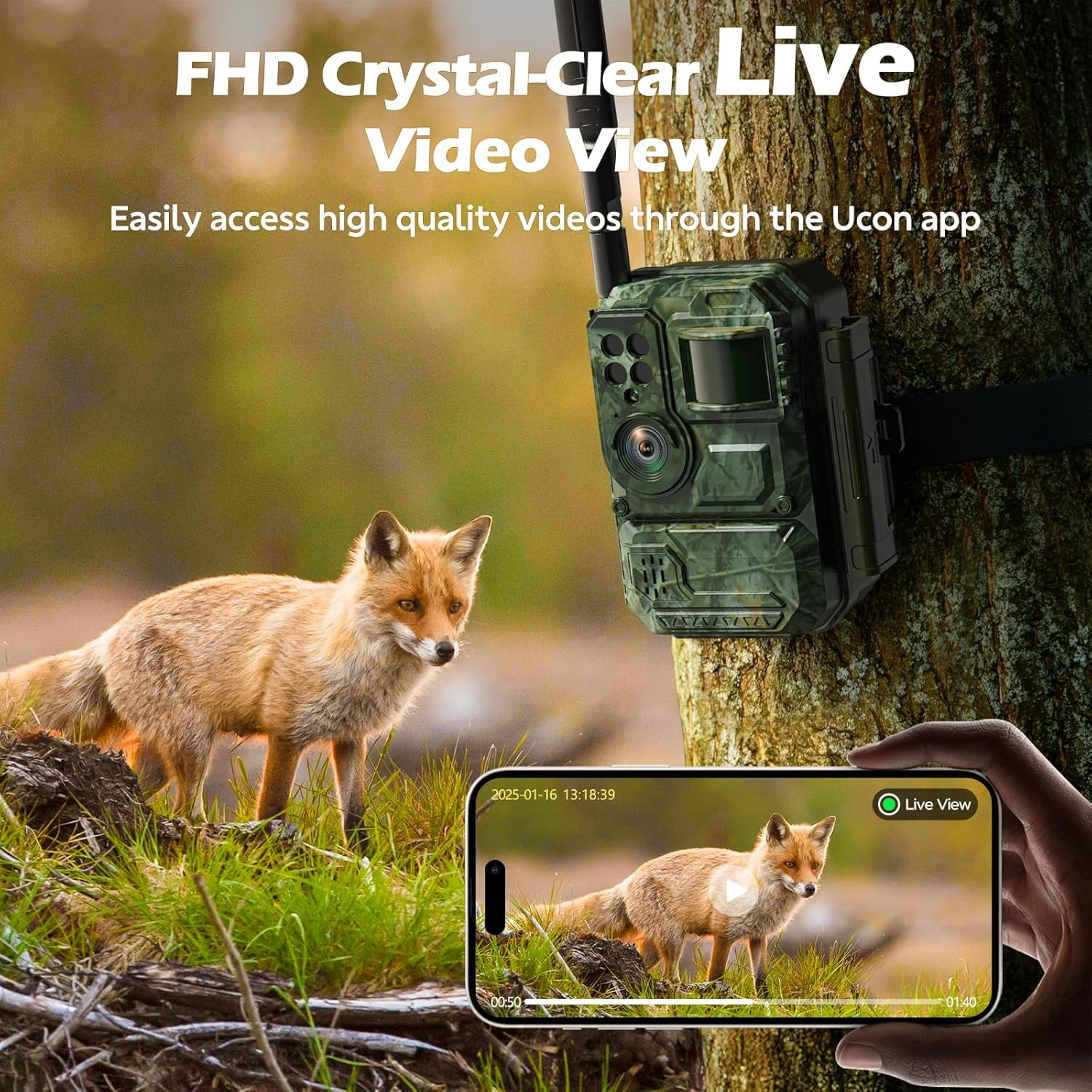CAMPARK Cellular Trail Camera, Solar Powered Game Camera Built-in 4G LTE SIM Card, No WiFi Required, 1080P Live Video, Blacklight Night Vision, IP66 Waterproof Hunting Camera, 0.1S Motion Activated