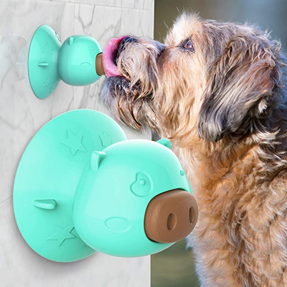 Dog gertenarbeiten sucking on toy