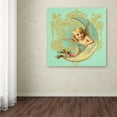 thumbnail image 3 of Trademark Fine Art 'Luna Angel' Canvas Art by Tina Lavoie, 3 of 3