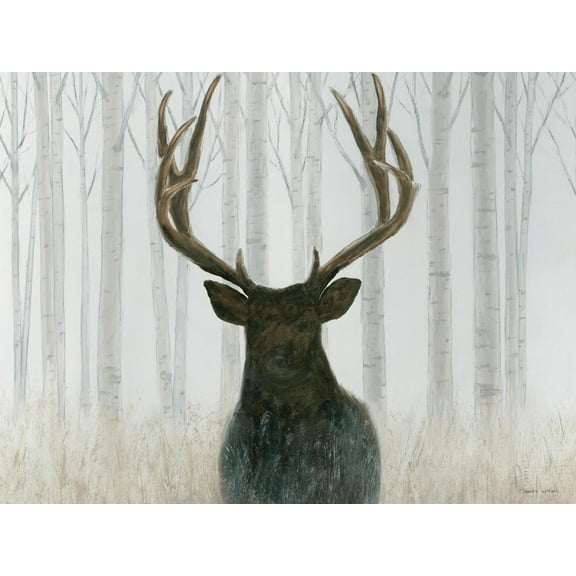 Art.com Into the Forest Crop Art Print by James Wiens, 16" x 12"