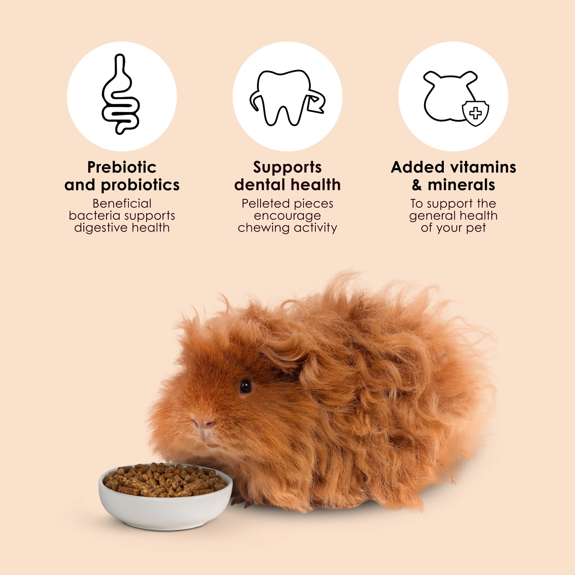 (3 pack) Kaytee Forti Diet Timothy Select Guinea Pig Food 3.5 Pounds