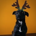 thumbnail image 2 of Cabeza de navidad para mascotas Decoración del perro del aro Diadema linda Decoración Bowknot para el Festival de Navidad (Patrón de Bowknot verde), 2 of 6