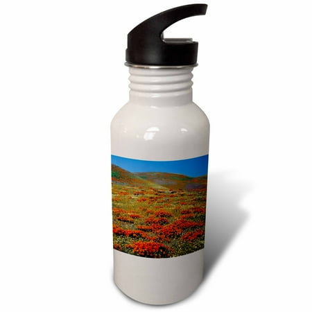 

USA California Tehachapi Mountains California Poppies 21 oz Sports Water Bottle wb-189736-1