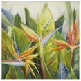 thumbnail image 1 of Great BIG Canvas | "Bird of Paradise I" Art Print - 30x30, 1 of 4