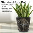 thumbnail image 6 of 12inch Round Planters Resin Vase Floor Standing Flower Pots Modern Decor for Indoor Outdoor Porch/Patio - Black, 6 of 7