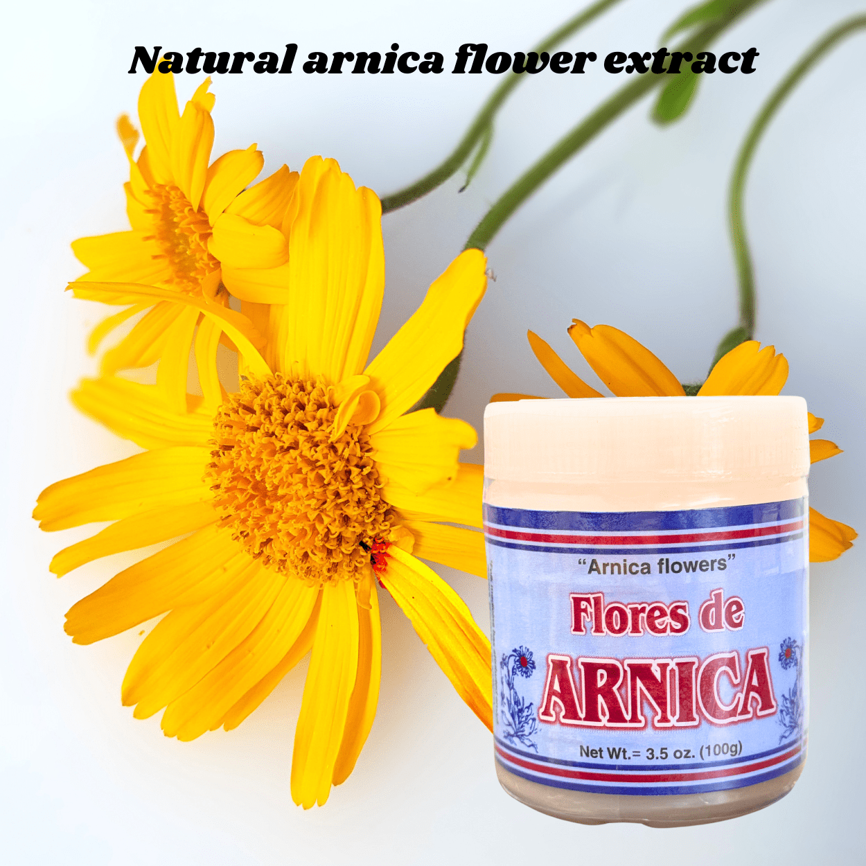 Flores de rnica Pomada 3.5 oz (100g)  Herbal Arnica Flower Balm for External Use, Traditional Topical Application