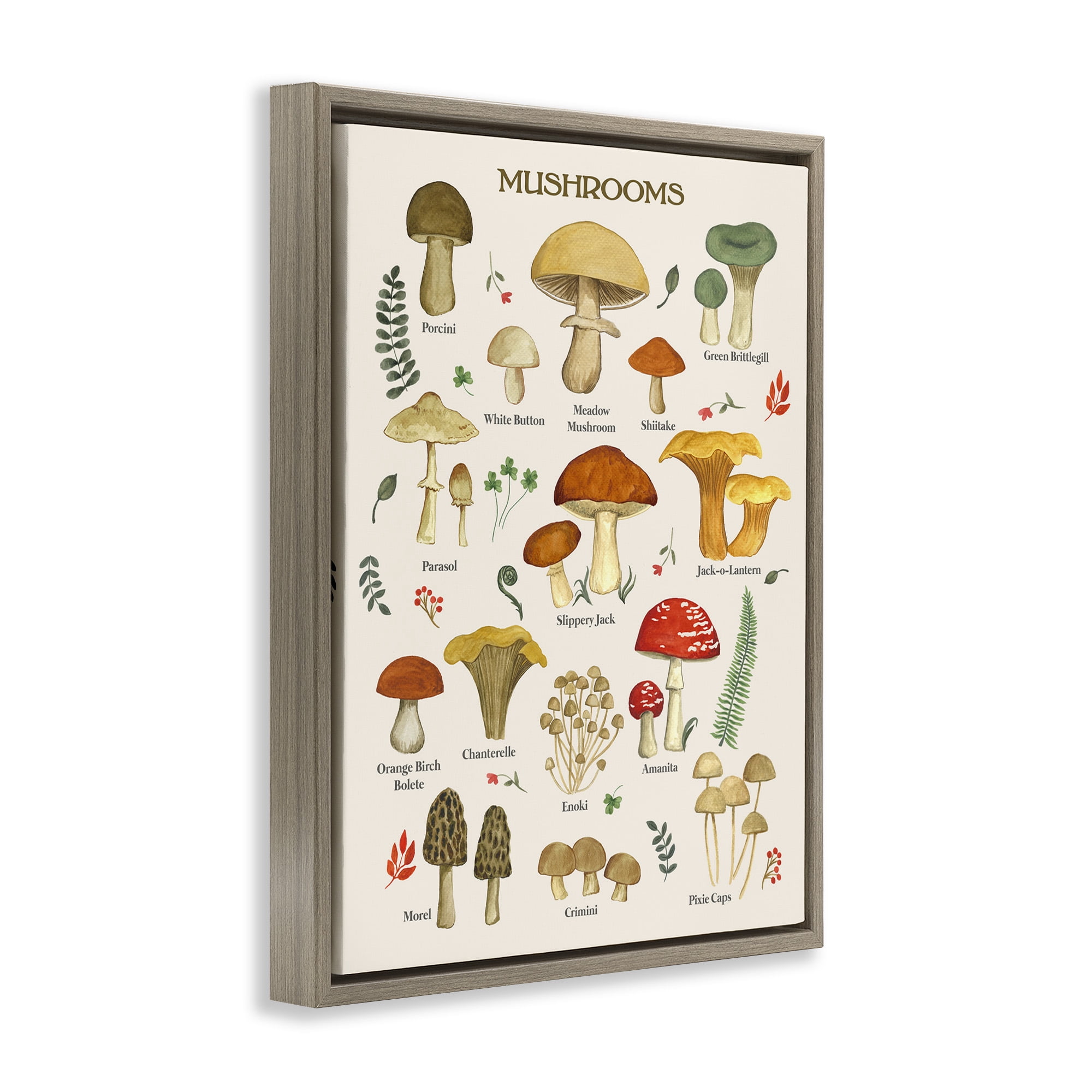 Stupell Industries Foraging Mushrooms Studies Botanical & Floral Painting Brown Floater Framed Canvas Art Print Wall Art, 17 x 21