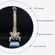 thumbnail image 3 of 3X Columna Vertebral de 45 cm con Modelo PéLvico, Modelo AnatóMico Humano de la Columna Vertebral, Modelo de Columna Vertebral + Soporte Fexible, 3 of 5