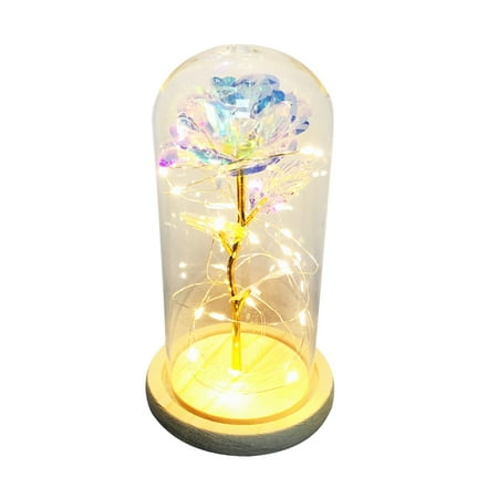 

Romantic Artificial Rose Flower LED Glass Bottle Lamp Night Light Home Decor